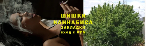 mdpv Протвино