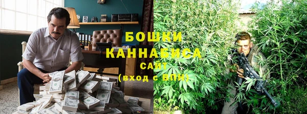 mdpv Протвино