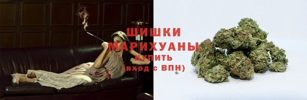 mdpv Протвино